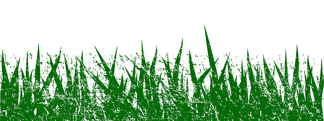 Image showing Grass grunge