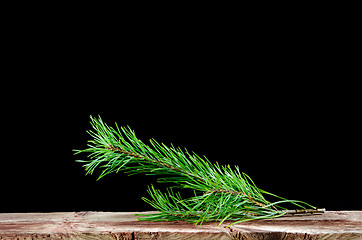 Image showing Pine tree twig decoration