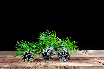 Image showing Pine tree cones and a twig