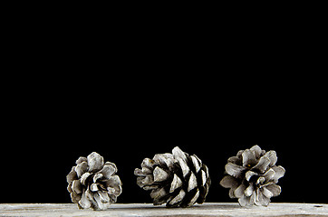 Image showing Group of pine tree cones