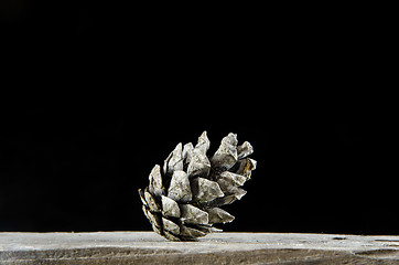 Image showing One pine tree cone