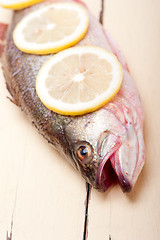 Image showing fresh whole raw fish