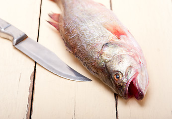 Image showing fresh whole raw fish