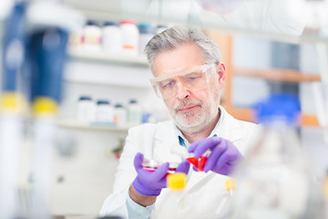 Image showing Life scientist researching in the laboratory.