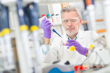 Image showing Life scientist researching in the laboratory.