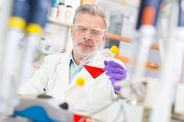 Image showing Life scientist researching in the laboratory.