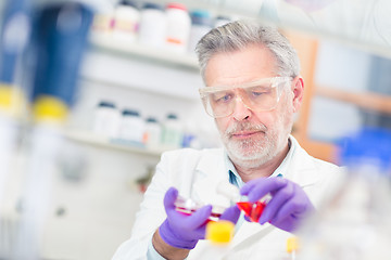 Image showing Life scientist researching in the laboratory.