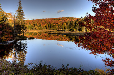 Image showing Lake in Autumn