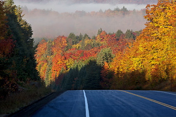 Image showing Autumn Colors and road 