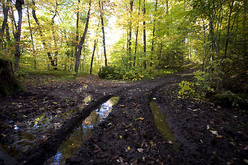 Image showing Muddy Road in Autumn