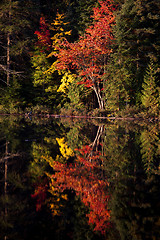 Image showing Lake in Autumn sunrise reflection