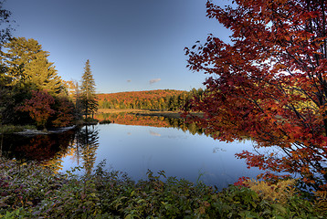 Image showing Lake in Autumn