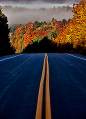 Image showing Autumn Colors and road 