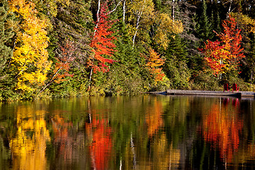 Image showing Lake in Autumn