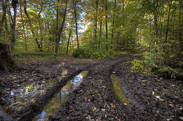 Image showing Muddy Road in Autumn