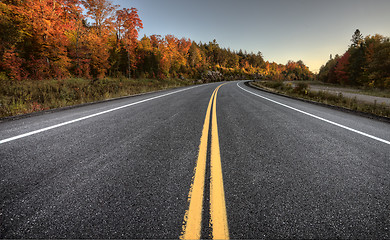 Image showing Autumn Colors and road 