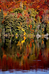 Image showing Lake in Autumn