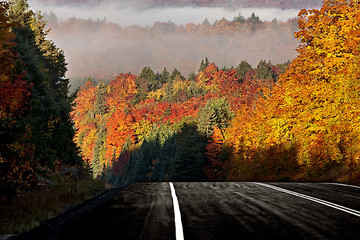 Image showing Autumn Colors and road 