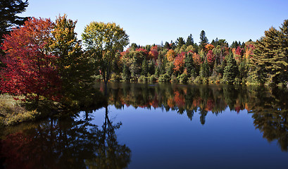 Image showing Lake in Autumn