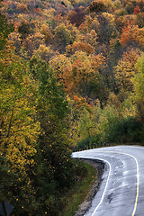 Image showing Autumn Colors and road 