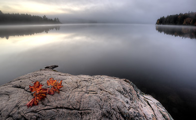 Image showing Lake in Autumn sunrise reflection