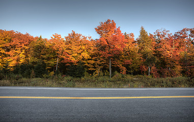 Image showing Autumn Colors and road 