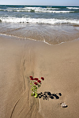 Image showing Shoreline Lake Huron