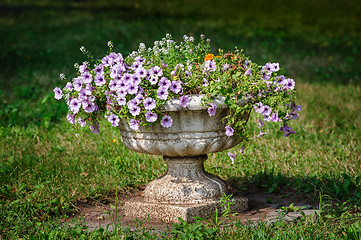 Image showing flower pot in the park