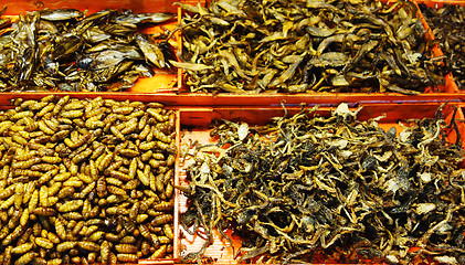 Image showing fried insects