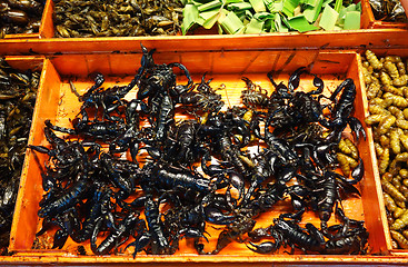 Image showing fried insects