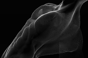 Image showing male body mesh