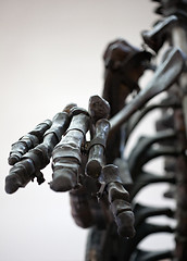 Image showing dinosaur skeleton palm closeup