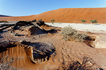 Image showing beautiful landscape of Hidden Vlei in Namib desert