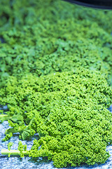 Image showing green kale