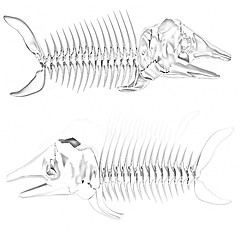 Image showing 3d metall illustration of fish skeleton 