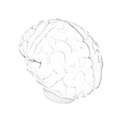 Image showing Human brain