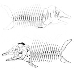 Image showing 3d metall illustration of fish skeleton 