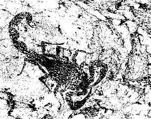 Image showing Grunge scorpion