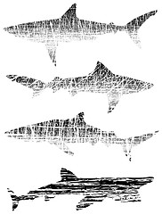 Image showing Grunge sharks