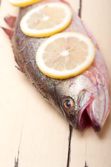 Image showing fresh whole raw fish