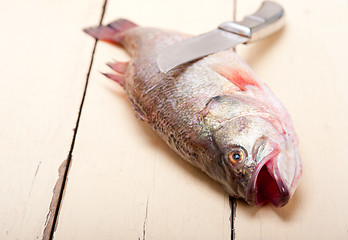 Image showing fresh whole raw fish