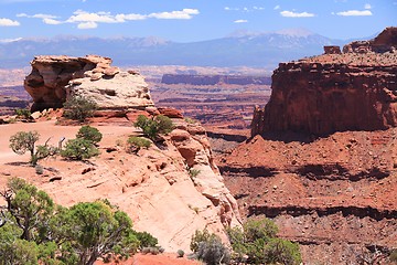 Image showing Canyonlands, Utah