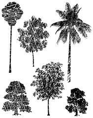 Image showing Grunge trees