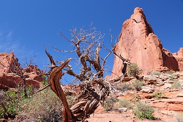 Image showing Arches National Park