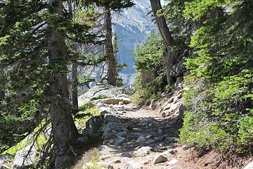Image showing Hiking in United States