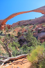 Image showing Landscape Arch