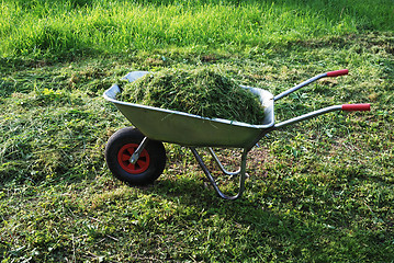 Image showing wheelbarrow on a lawn with fresh grass