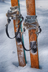 Image showing old wooden skis in the snow