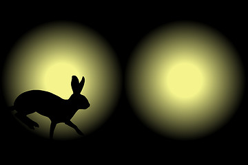 Image showing Headlight rabbit