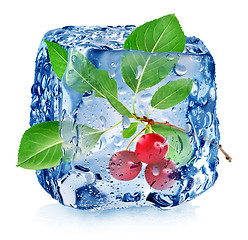 Image showing Cherry in ice cube